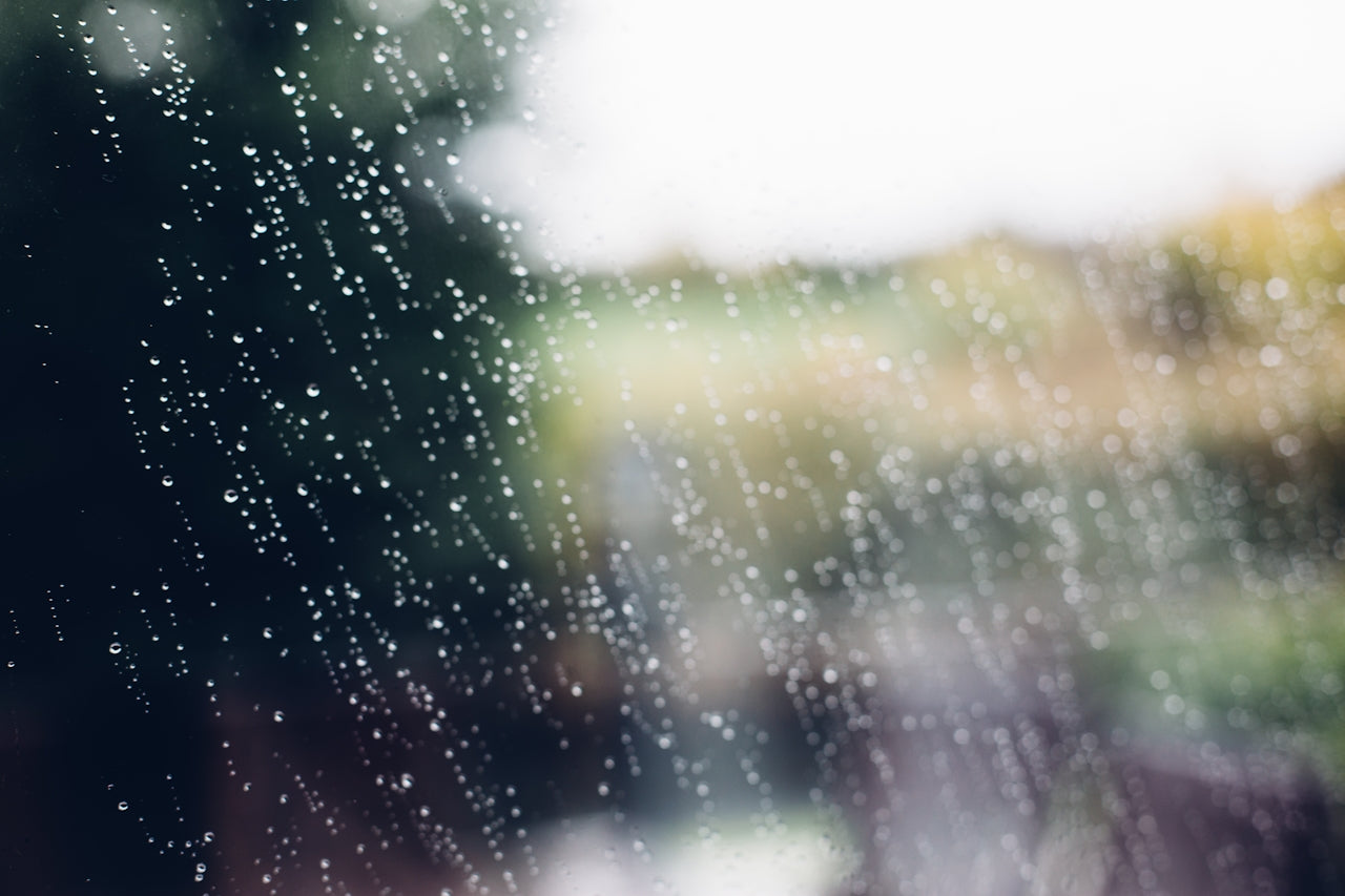 Grounding Perfumes for Stress Relief | Nectar Atelier - 112