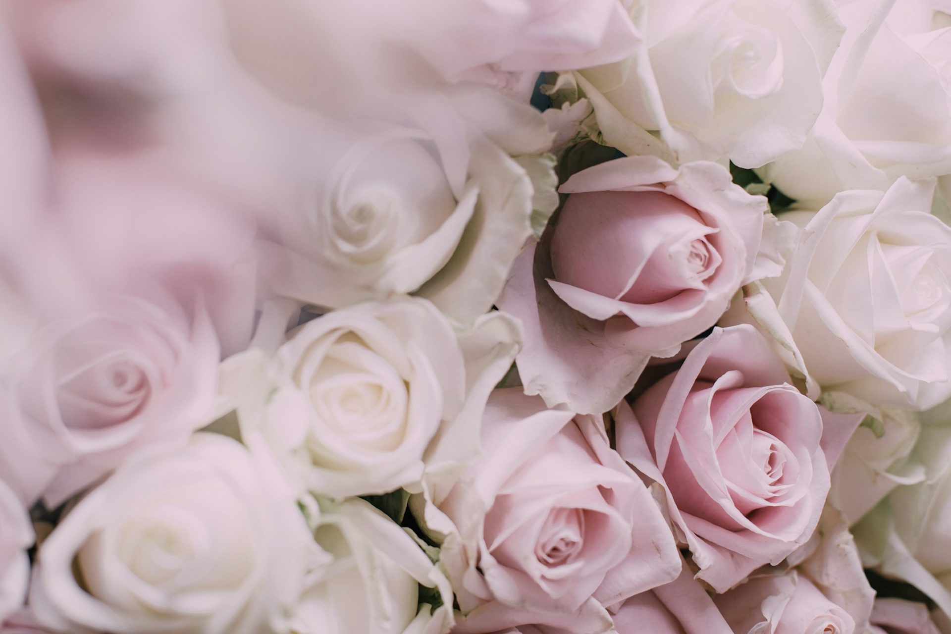May Is Here: Fresh Spring Fragrances for Open Days