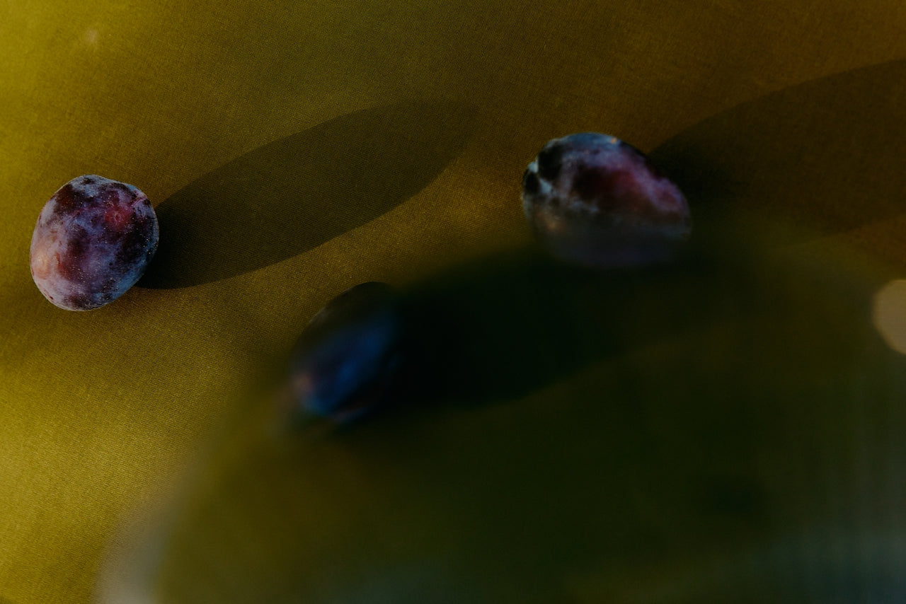 Perfume and Skin Chemistry: Finding Beauty in the Dry Down - 124