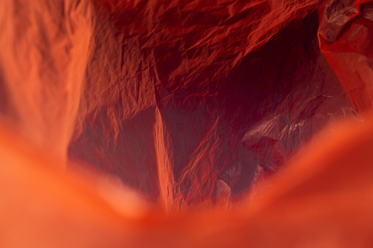 The Hidden Garden: How Nature Inspired Perfume Reconnects Us to Childhood 114