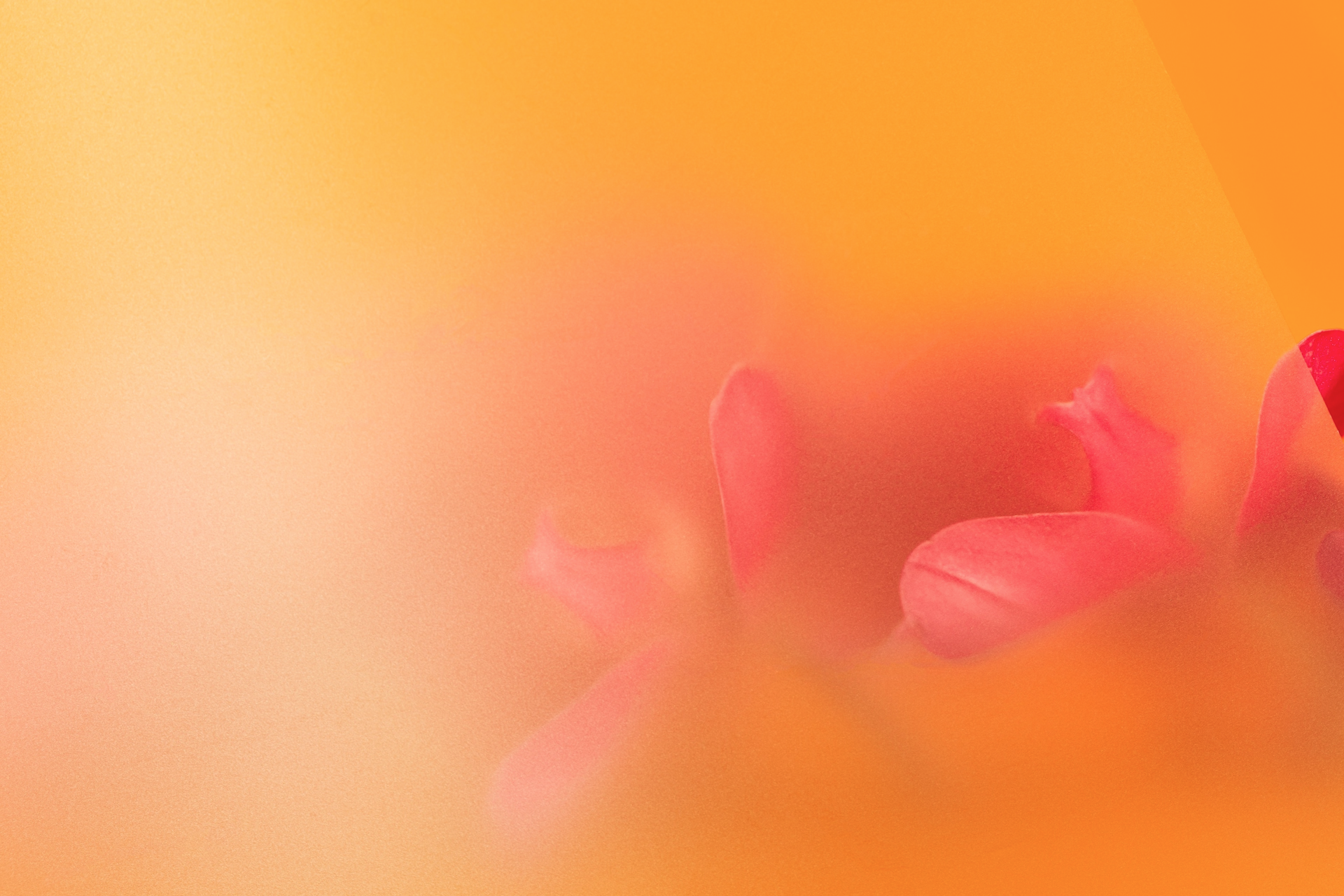 On the Fleeting Nature of Perfume & Cultivating an Interior Life - 126