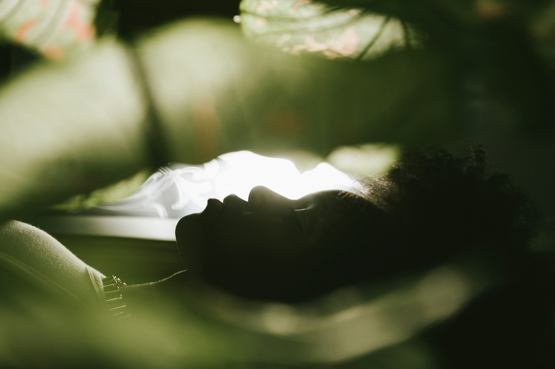 How Scent Holds Us: The Intimacy of Scent & Life - 118