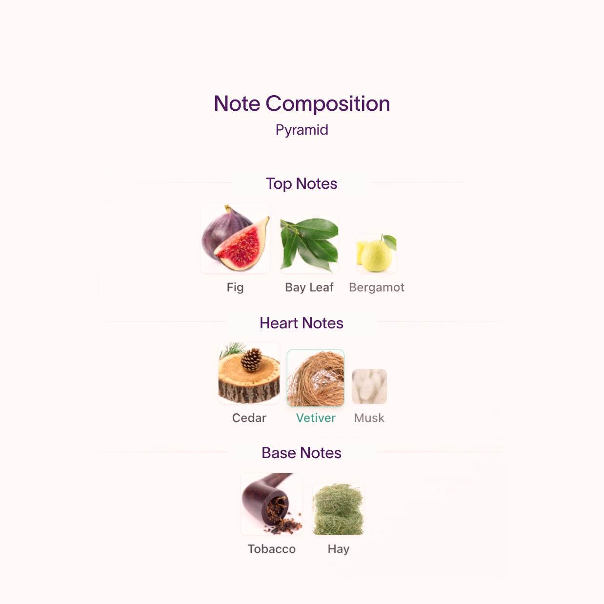 Le Labo Thé Noir 29 Sample