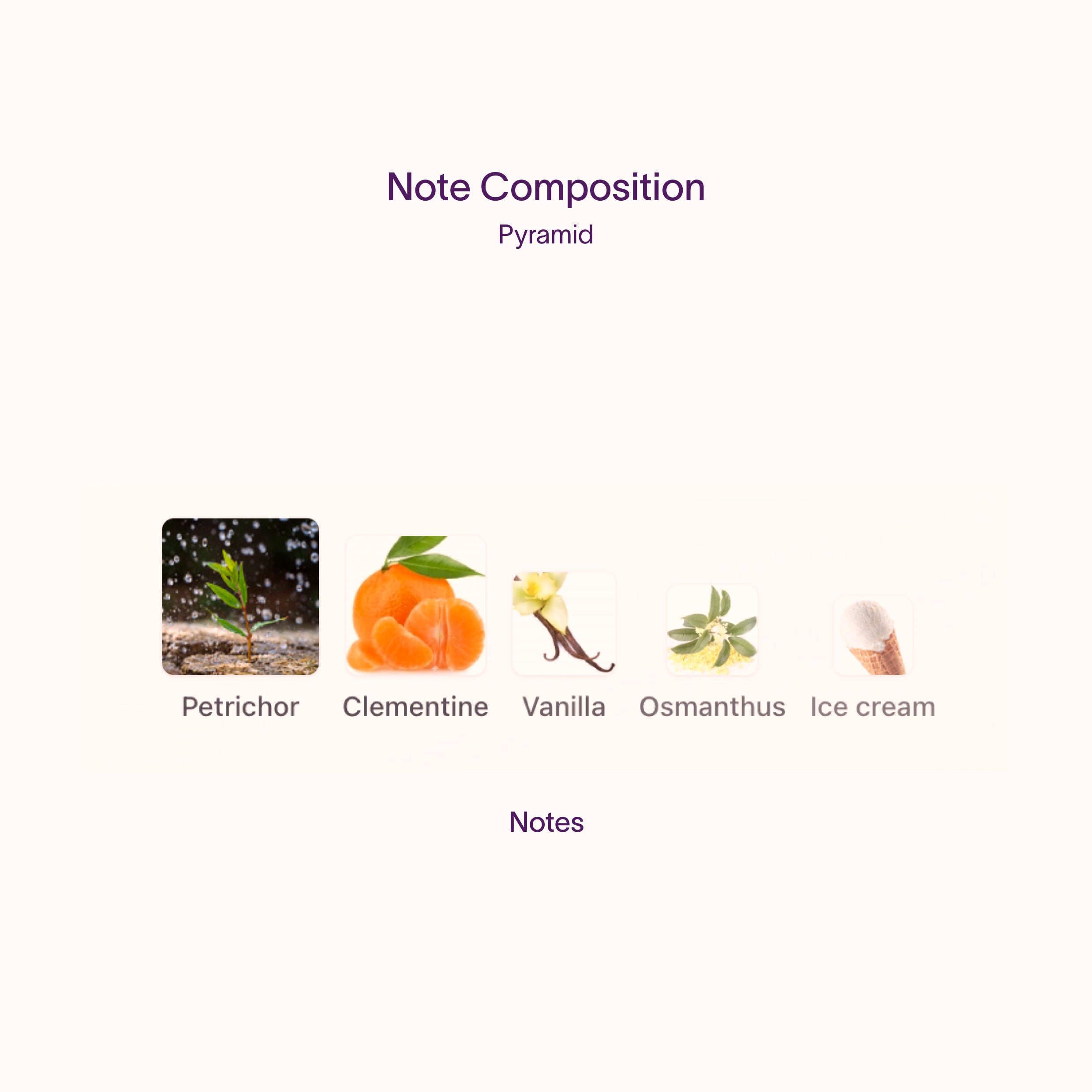 Sorce Meet Me On Sunnyside | Artisanal Samples
