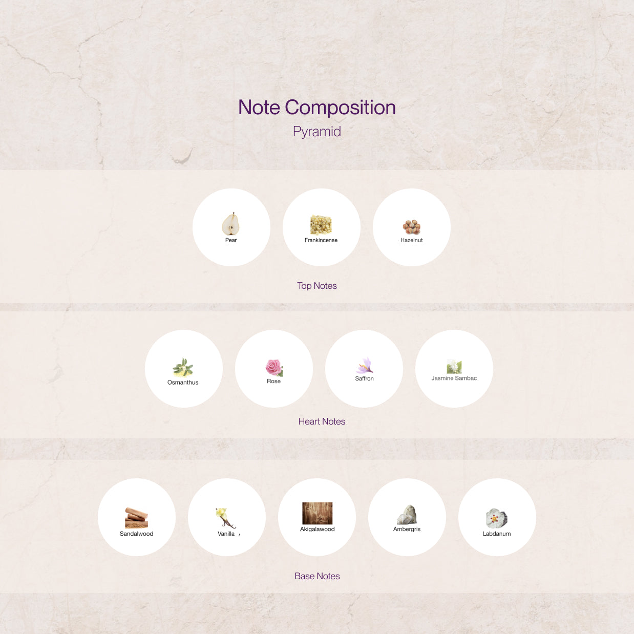 Amouage Guidance 46 Note Composition