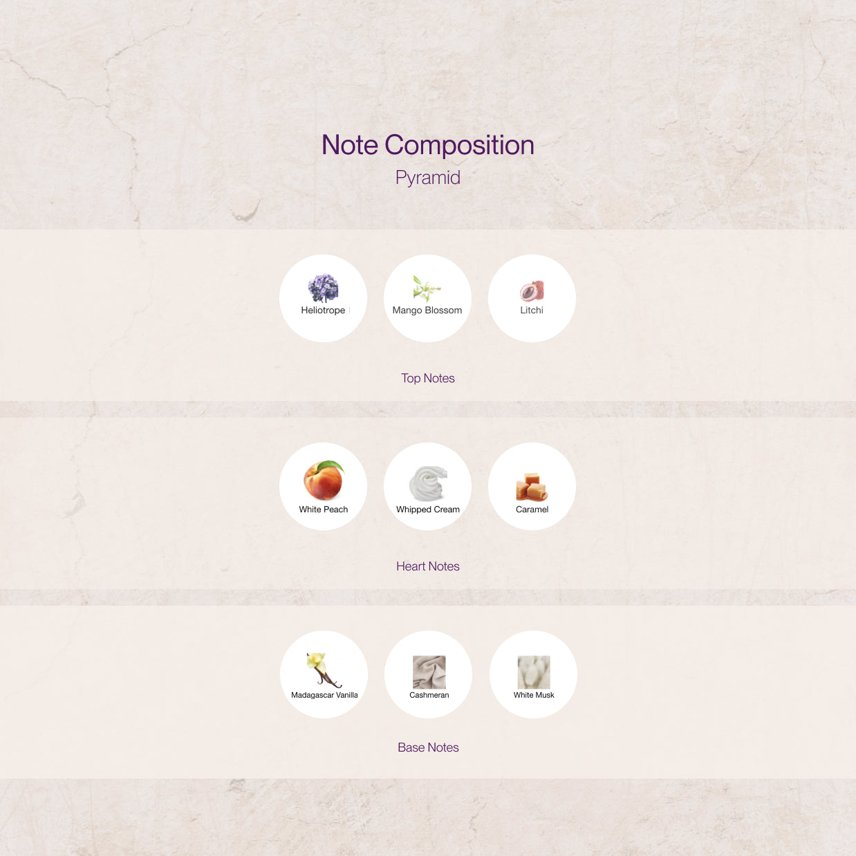 Gritti Gossip Night Luxe Samples โ Eco-friendly & Artful