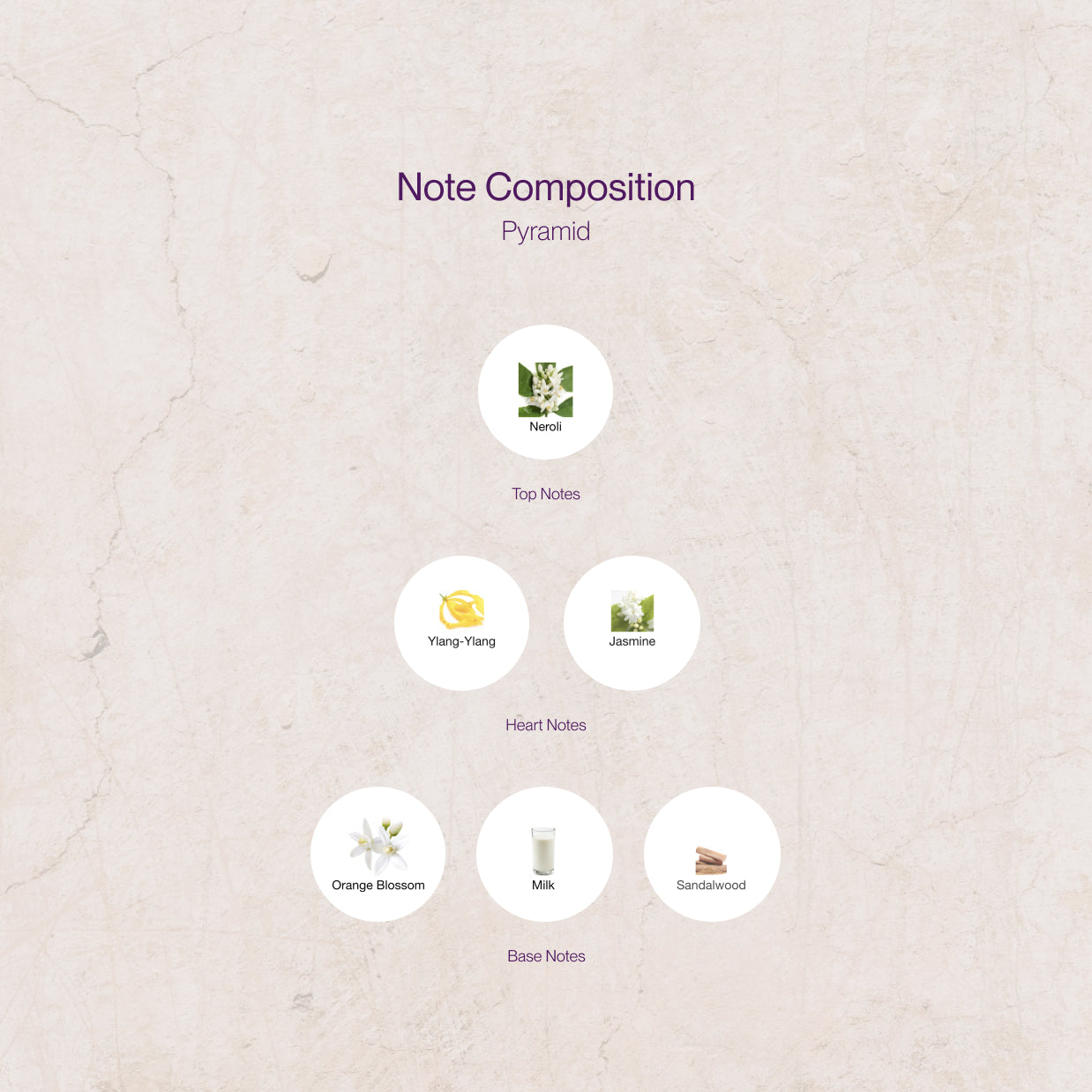 DVN Jardin de L'Orangerie Luxe Samples — Eco-friendly & Artful