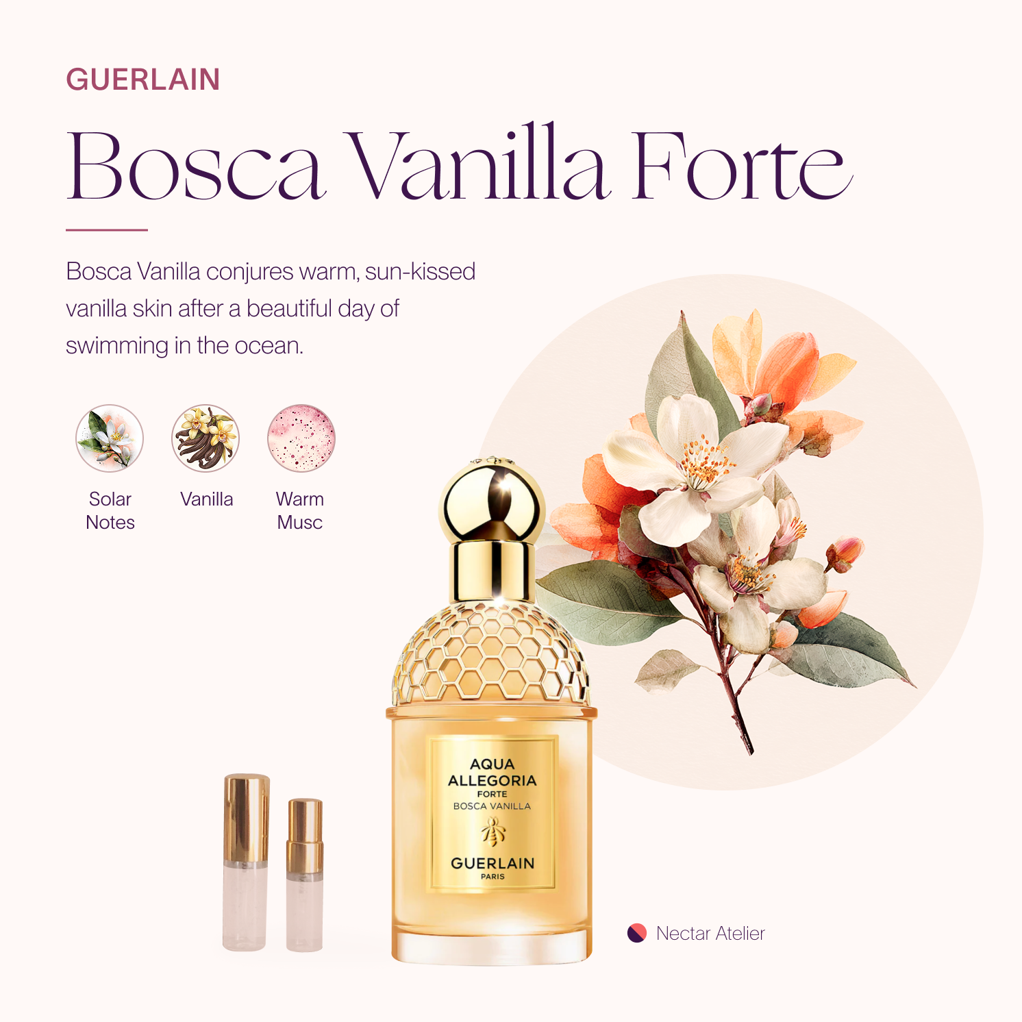 Bosca Vanilla - Green Vanilla | Artisanal Sample Set Luxe samples 1ml, 2ml, 3ml by Nectar Atelier