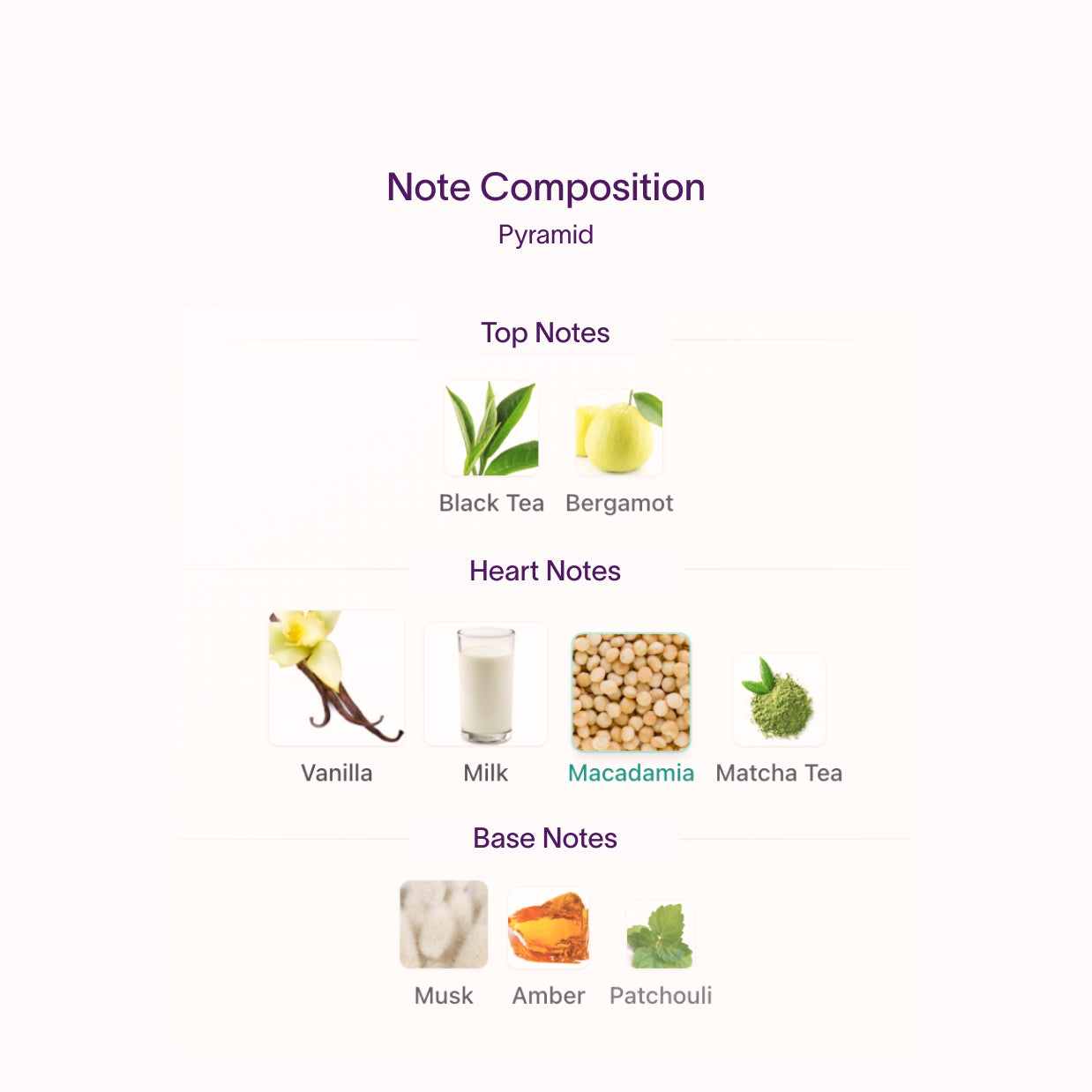 Phlur Matcha Milk | Notes