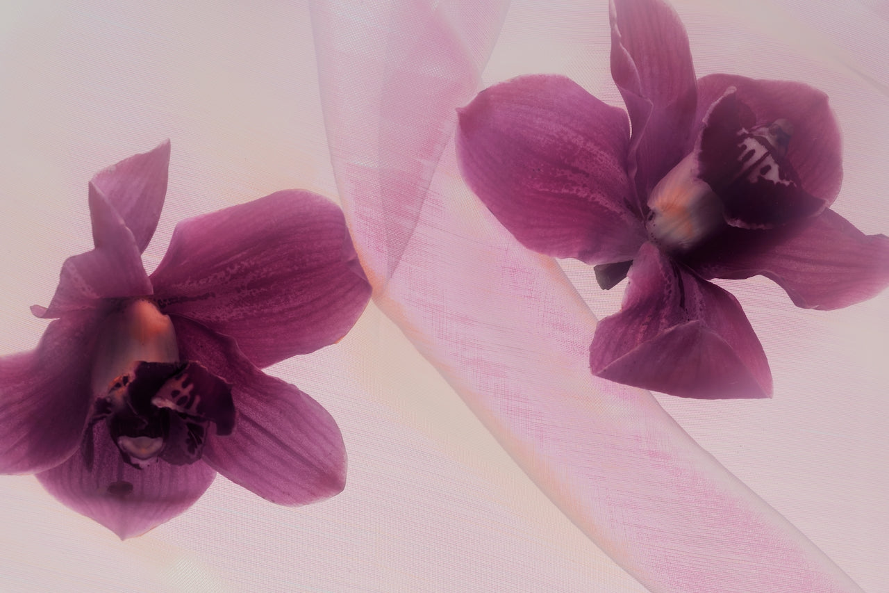 Little Flower Review | 1ml - 5ml Artisanal Sample