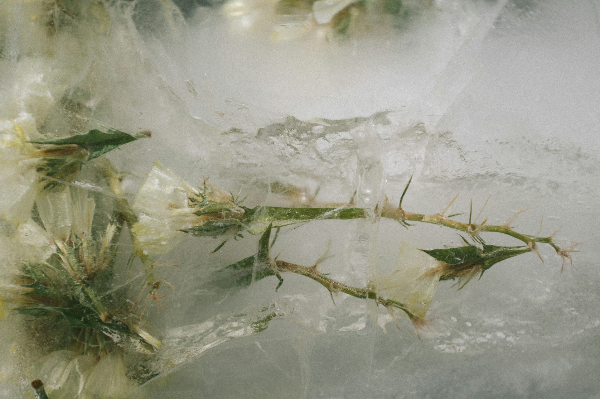 On Patience and Perfume: Why Fragrance Takes Time - 120
