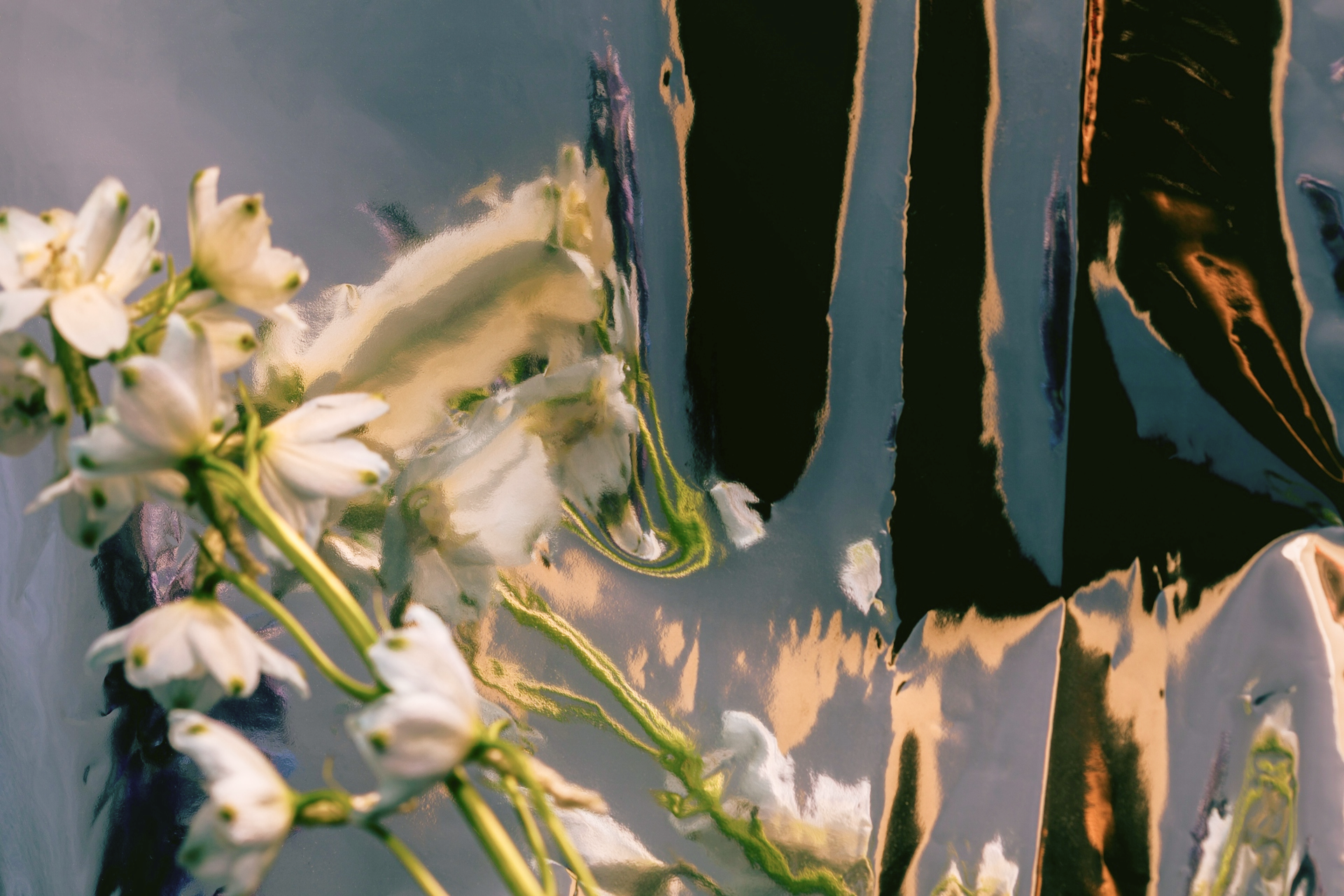 How to Reconnect With Fragrance After a Break | Nectar Atelier