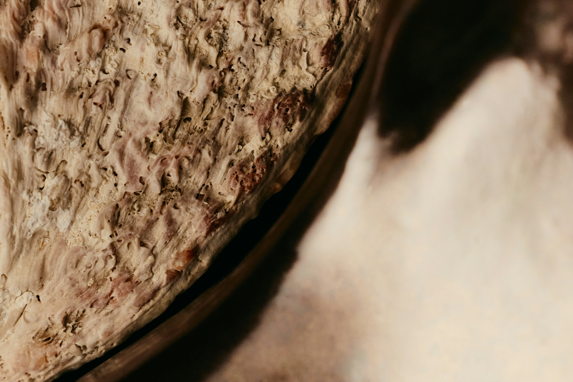 A Year of Niche Perfumes at Nectar Atelier - 117