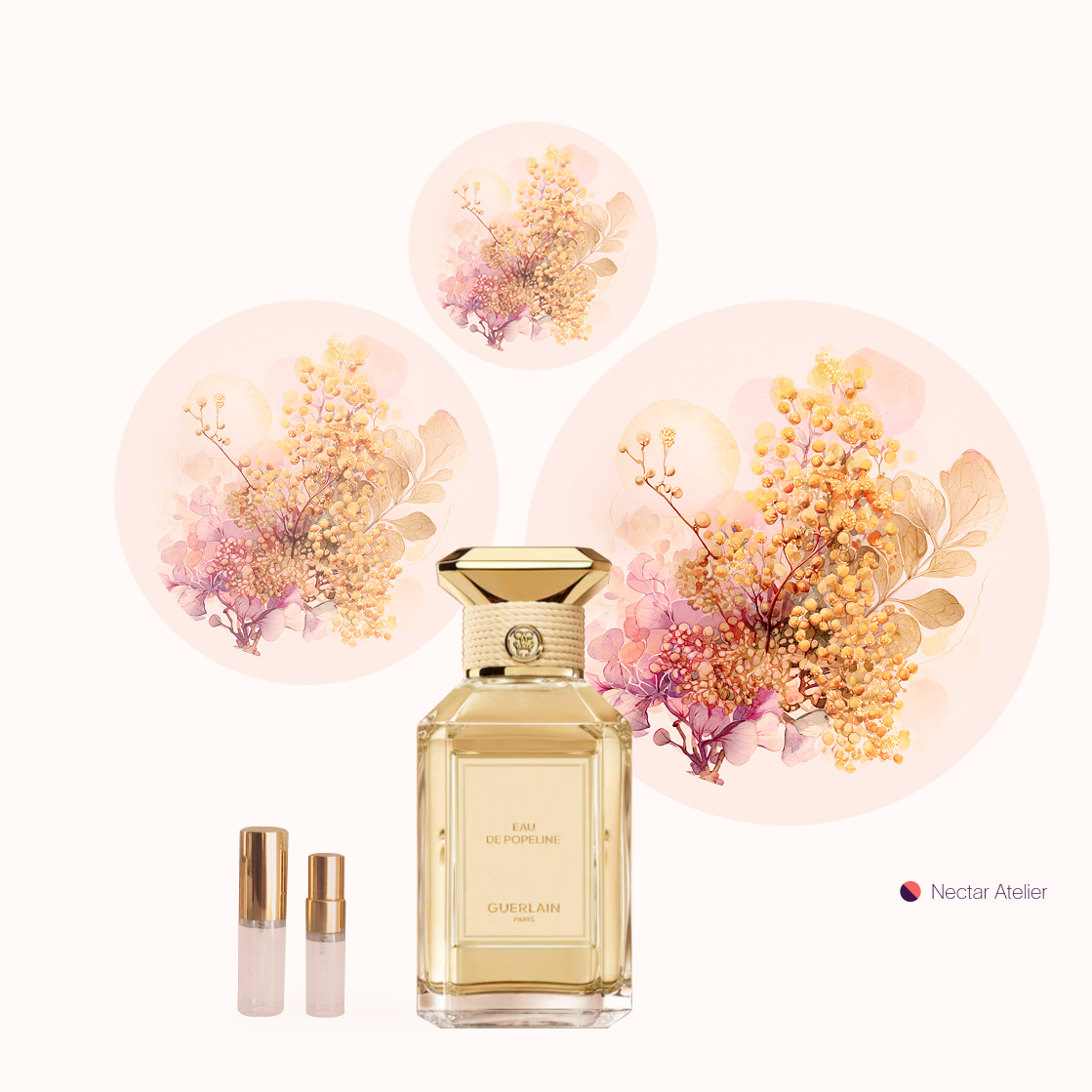 Eau de Tulle EDP | Luxe Samples 1mk, 2ml 3ml, 5ml by Nectar Atelier