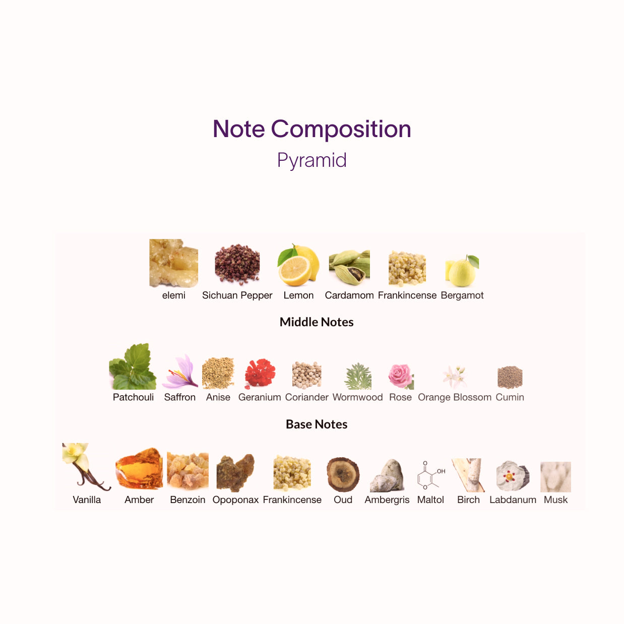 Amouage Outlands Perfume Note Composition